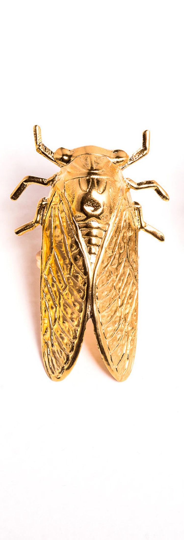 Cicada ring 18K Gold gold cicada ring Cicada by MoCoLaJewelry