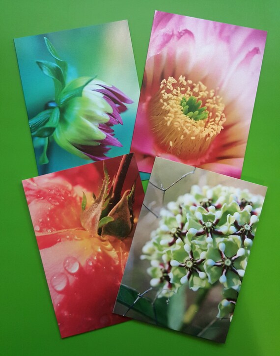 Set of 4 Flower photo greeting cards flower by DixieLeePhotography