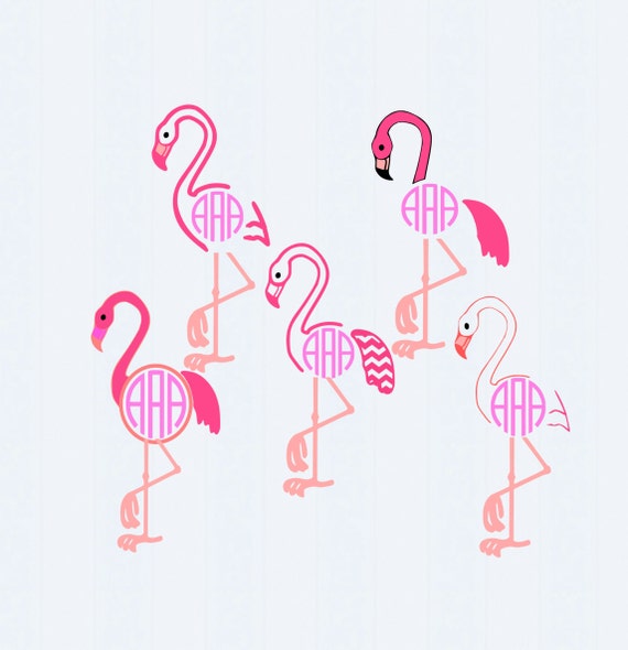Download Flamingo svg Monogram SVG ai jpgDxfEpspngjpg by JenCraftDesigns