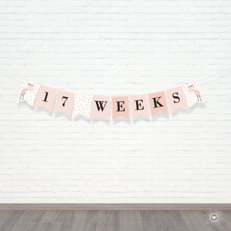 Pregnancy Banner Week By Week Banner Maternity Banner