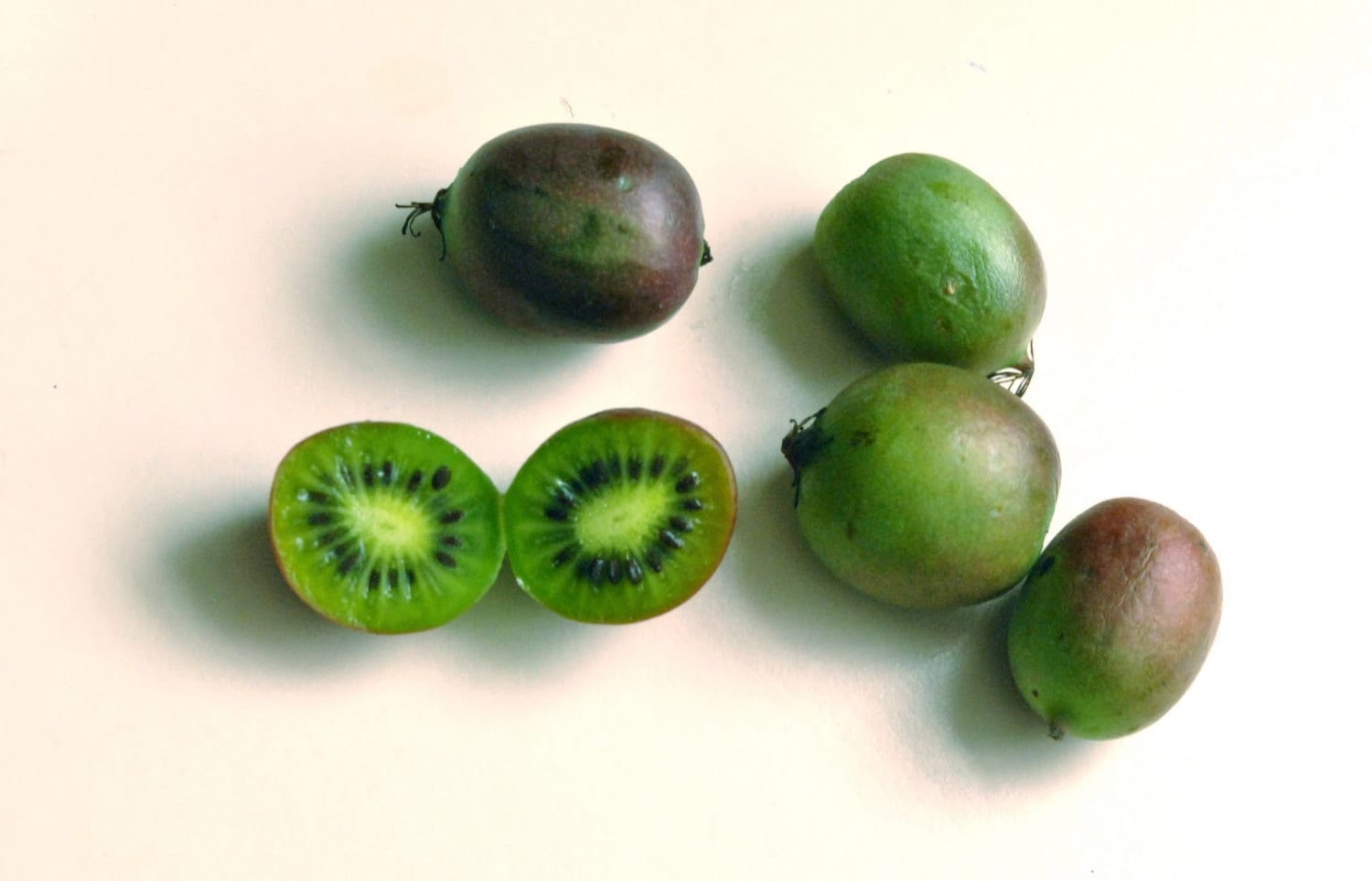 Hardy Kiwifruit Kiwi Berry Arctic Baby Grape Kiwi Actinidia