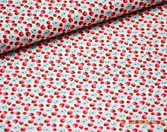 Cotton / Poplin raspberries