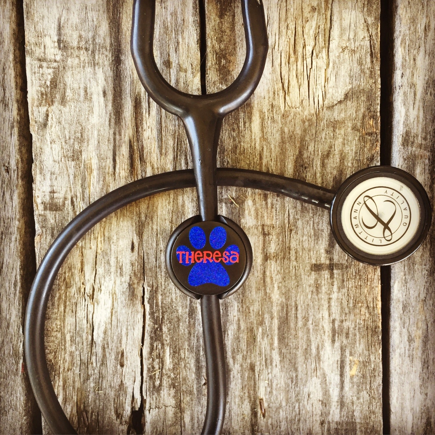 Stethoscope ID Tag Vet Tech Vet Tech Gift Veterinarian