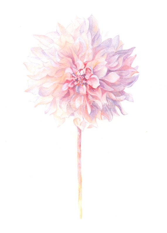 Fine Art Watercolor Painting Flower Art Pale Purple Pink