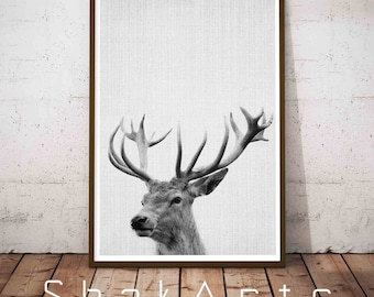 Deer Woodland Art, Modern Deer Art, Nursery Baby Deer, Woodland Deer Art, Deer Head Wall Decor, Woodland Deer Poster, Nursery Deer Poster