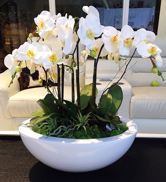 Large White Orchid Arrangement Realistic Orchids Set In by Flaural