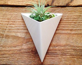 Modern Triangular Indoor/Outdoor Succulent Wall Planter, White Powder Coated Finish
