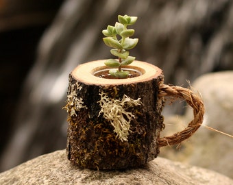 Coworker Gift Succulent Pots Rustic Coffee Mug Plant Holder Boss Log Planter Desk Coworker Gift Succulent Pots Rustic Coffee Mug Plant Holder Boss Log Planter Desk