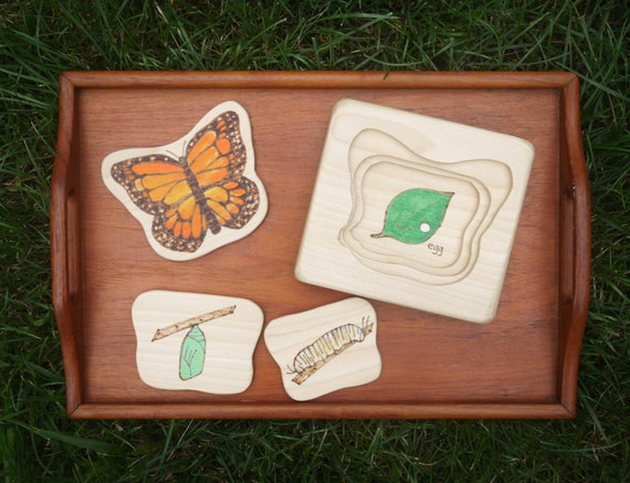 Download Monarch Butterfly Life Cycle Layered Puzzle by MoonflowerToys