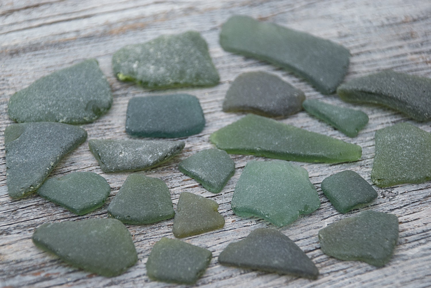 Forest Green Sea Glass Deep Olive Beach Glass Jewelry Making Or Mosaic Sea Glass Bulk Shades Of 8586