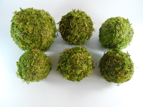 moss balls set of 6 rustic decor moss covered balls moss balls set of 6 rustic decor moss covered balls