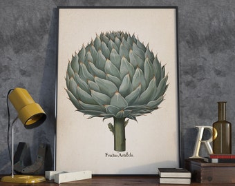 Artichoke Antique Print, Botanical Print Antique, Plant Antique Poster, Antique Plant Print, Vintage Nature Print - VA010
