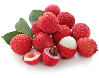 Lichi litchi Litchi Leechee litchi Litchi Chinensis Sapindaceae graines 5 PCS *** frais de port ! ***