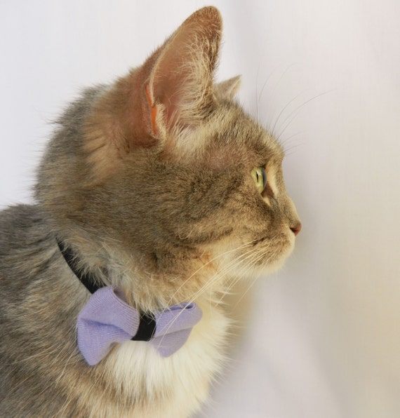 Lilac Cat Collar Bow Tie Adjustable Collar Breakaway
