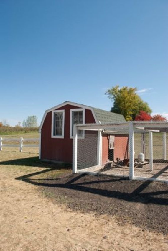 Build your own 8 X 16 Chicken Coop DIY Plans Fun