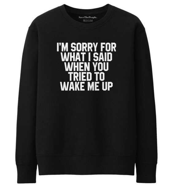 I'm Sorry For What I Said When You Tried To Wake Me Up