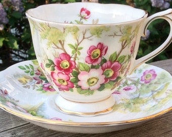 Pretty in Pink-Royal Albert Wild Rose Teacup and Saucer
