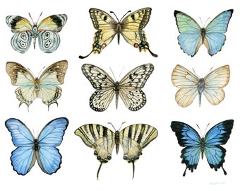 Blue Butterflies Watercolor Print - Wall Art - Home Decor - Butterfly Art - For Butterfly Lovers