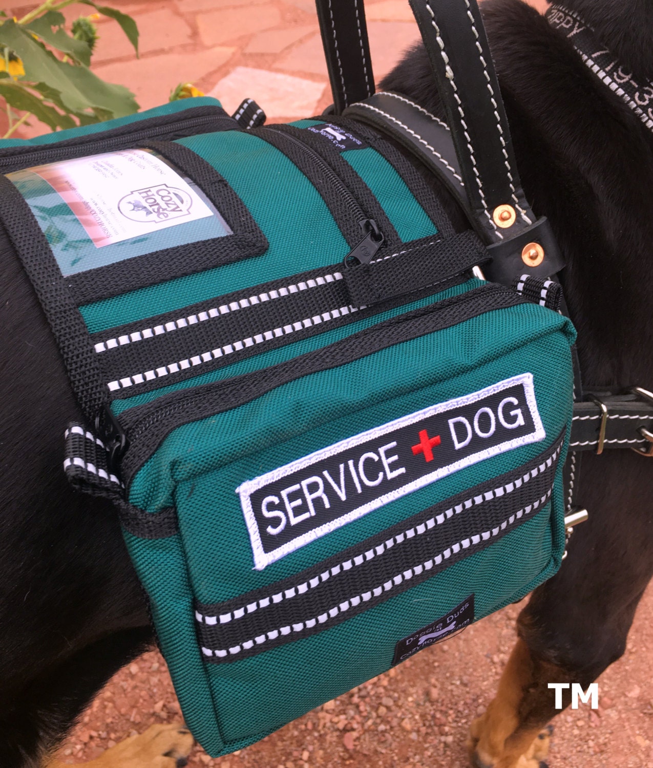 Custom Service Dog Vest einodesign