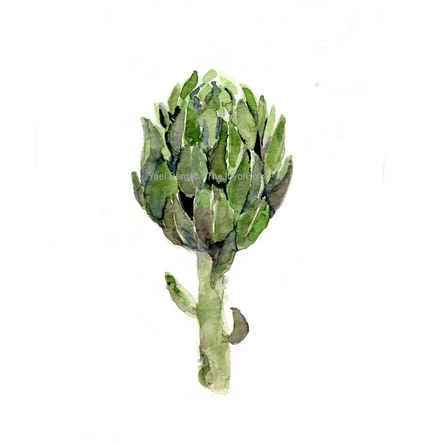 Artichoke Art Print artichoke watercolor print Artichoke