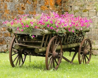 Antique flower cart | Etsy