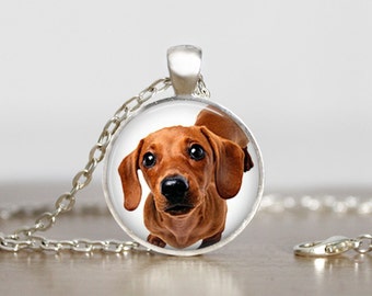 Items similar to A Little Doubtful - Dachshund Dog Print on Etsy