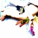 Pink Feather Designs
