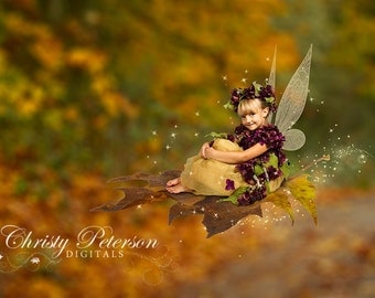 Fall Fairy Digital Background and Overlay Set