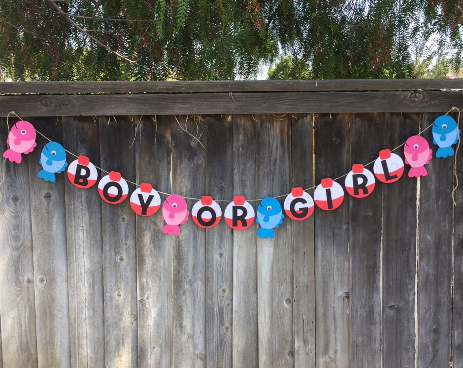 Fishing Bobber Boy or Girl Gender Reveal Baby Shower by ChoosaRoo
