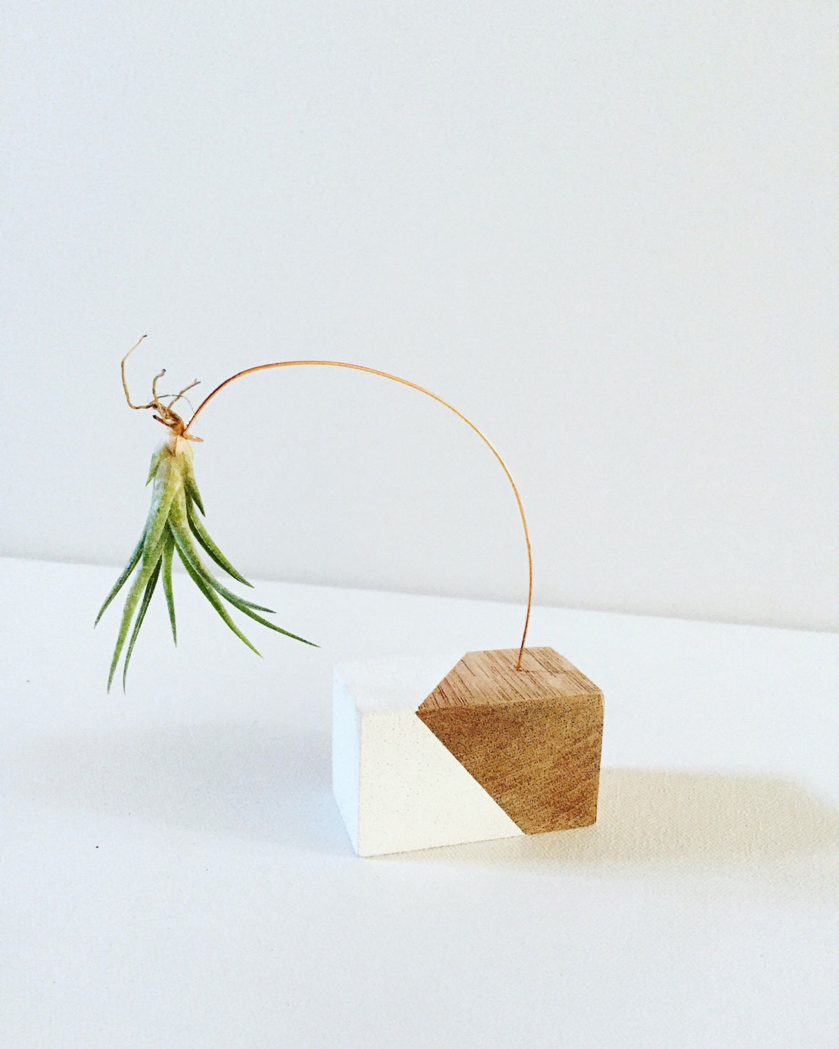 Copper Wire Mahogany Air Plant Holder Hanging by HarpAndLyreCo