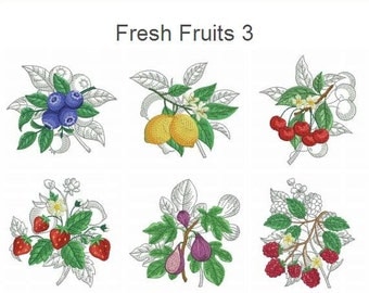Fresh Fruits 3 Machine Embroidery Designs Pack Instant Download 4x4 5x5 hoop 10 designs APE2287
