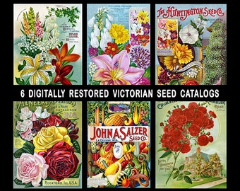 Unique vintage seed packets related items | Etsy