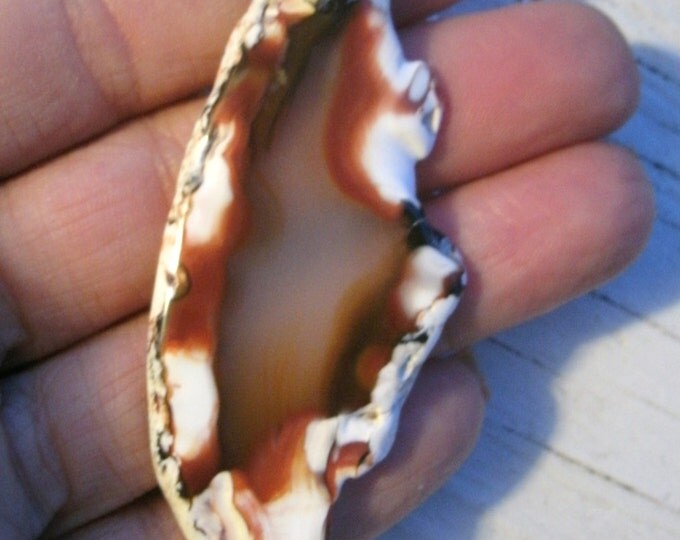 Crystal Agate Freeform Pendant Necklace - silver plated bail, flat agate slice, OOAK, silver chain, burnt orange/brown/white/clear