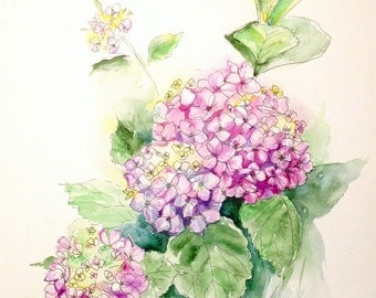 Pink Hydrangeas original watercolor painting, wall art flowers, living room decor, gift for mother, romantic, bohemian, country style