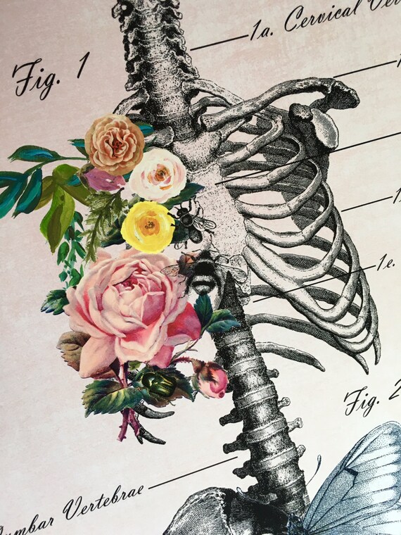 Thorax Print Abstract Anatomy Art Anatomy Art Medical