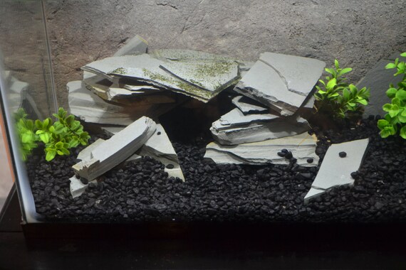 Grey Slate Aquarium Rocks stacking stones cave for aquascape