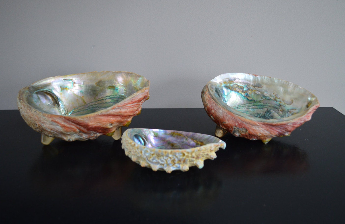 SET OF Vintage Abalone Shell Dishs with Applied Acrylic Feet