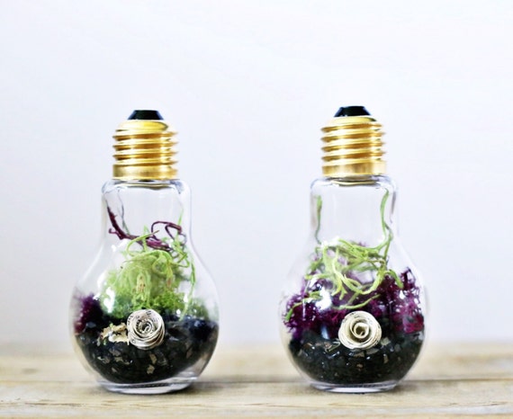 Light bulb terrarium with book page flower and preserved moss