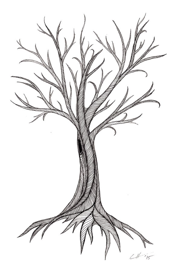 Tree Illustration Print   Black And White Line Work   Tree 3