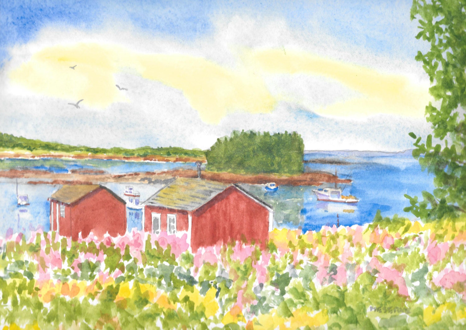 Barney's Cove on Beals Island Maine