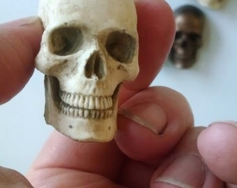 Skull Magnet, realistic human skull, anatomical study, Cast Shadows Studio, by Richard Chalifour