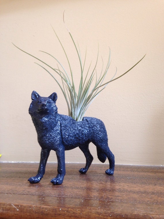 Items similar to Glossy Navy Wolf Planter, Animal Planter, Air Plant