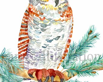 Great Horned Owl No.1, Archival Print of Original Watercolor, you choose size