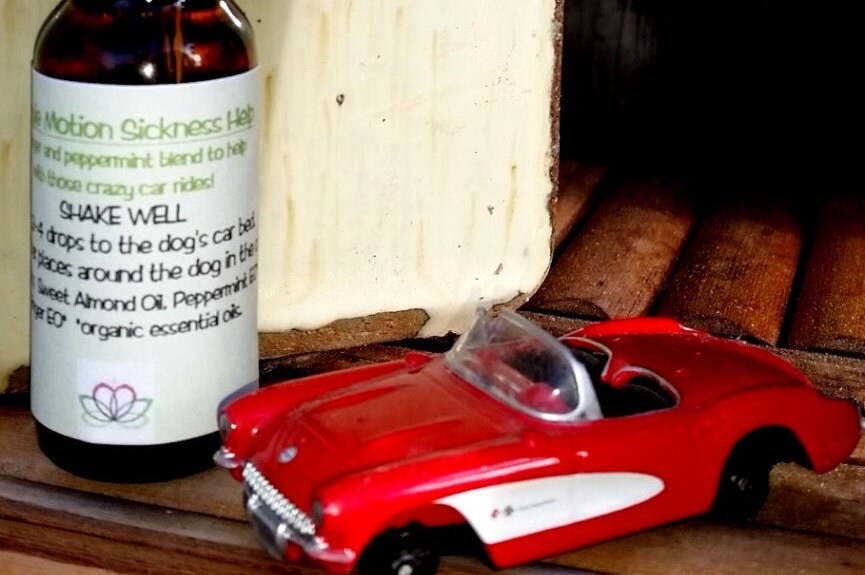 Dog Motion Sickness Motion Sickness Antiemetic Dog Car