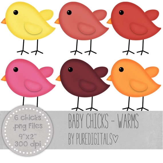 clipart of baby chicks - photo #50