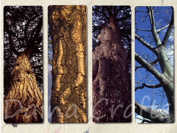 printable bookmarks trees photo bookmarks tree nature