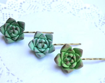Green succulent hair clip booby pin. Succulent hair jewelry. Rustic hair clip bobby pin hair accessory jewelry. Planter hair clip bobby pin