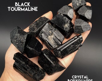 Black Tourmaline Raw Rough Single Terminated Crystals 1" - 1.6" Empath EMF Altar Protection Grounding Home Crystal Grid Reiki Healing