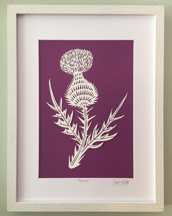 Framed papercut Thistle Paper cutting Scottish by CarolineArgo