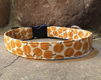 dog collar, thanksgiving dog collar, autumn dog collar, fall dog collar, pumpkin dog collar, holiday dog collar, brown dog collar, orange
